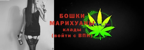 индика Балабаново