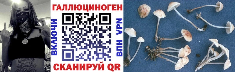 Галлюциногенные грибы ЛСД Усть-Лабинск
